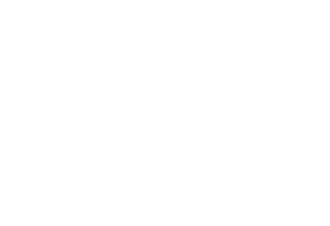 aoc_logo_transparent